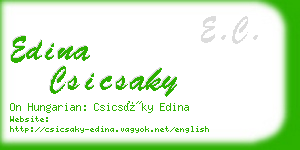 edina csicsaky business card